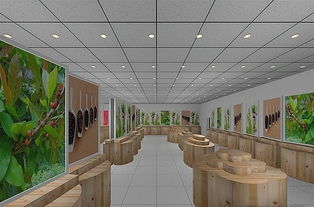 成都專業(yè)特產(chǎn)店裝修 特產(chǎn)店設(shè)計 特產(chǎn)店翻新 裝潢,成都專業(yè)特產(chǎn)店裝修 特產(chǎn)店設(shè)計 特產(chǎn)店翻新 裝潢生產(chǎn)廠家,成都專業(yè)特產(chǎn)店裝修 特產(chǎn)店設(shè)計 特產(chǎn)店翻新 裝潢價格