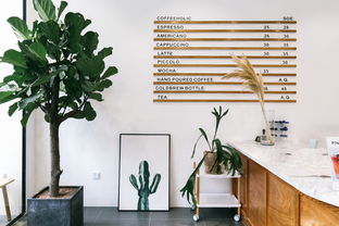 裝修無知害死人,老婆買了6個家電 氣的直跺腳